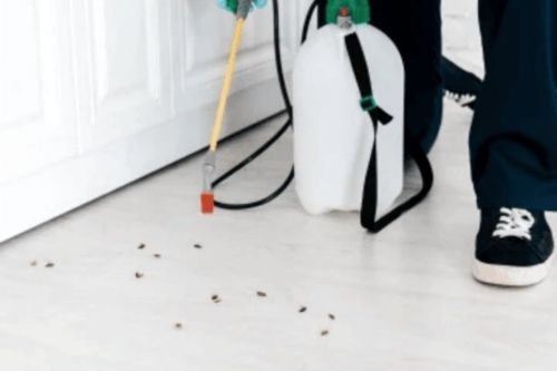 Ant’s Control