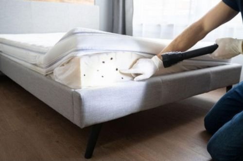 Bed Bud Control