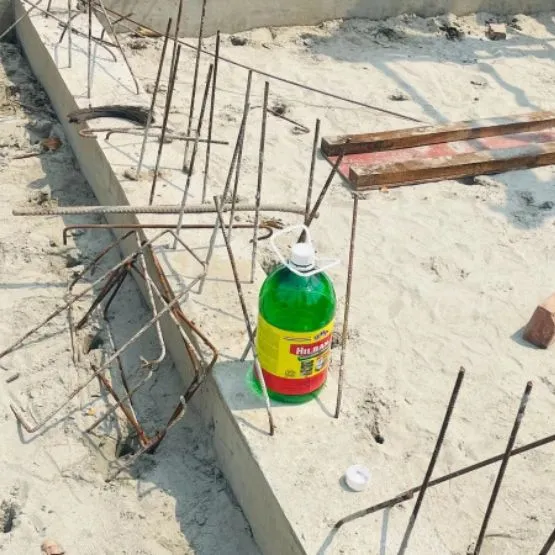 Termite Treatment